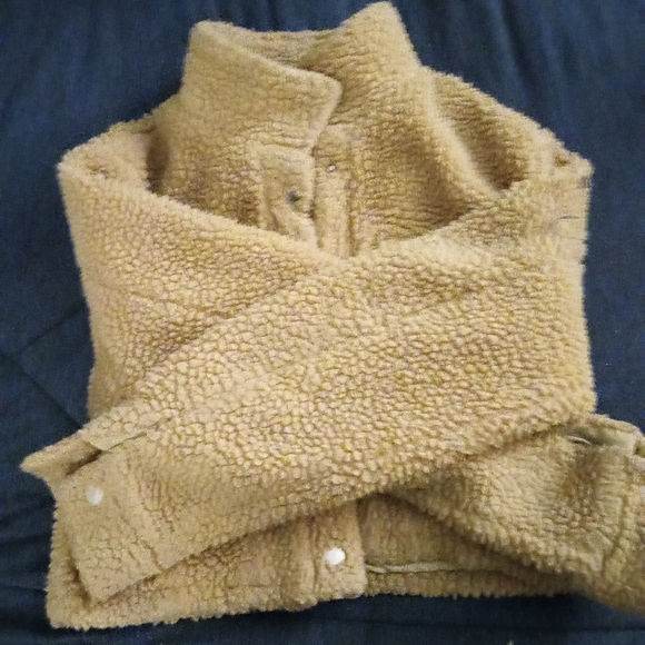 Teddy Cropped Fluffy Jacket- Nude - Picture 6 of 7